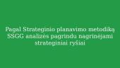 Privačių miškų sektoriaus SSGG (SWOT) analizė 9 puslapis