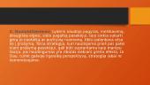 Lyderių elgesio tipai 16 puslapis