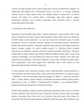 Darbo rinka. Gyventojų pajamos 11 puslapis