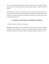 Darbo rinka. Gyventojų pajamos 13 puslapis