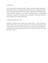 Darbo rinka. Gyventojų pajamos 18 puslapis