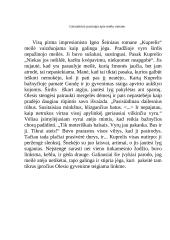Literatūrinė pastraipa apie meilę romane „Kuprelis“