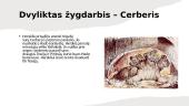 12 Heraklio žygdarbių 13 puslapis