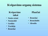 Kvėpavimo sistemos organai 4 puslapis