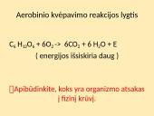 Aerobinis ir anaerobinis kvėpavimas (skaidrės) 4 puslapis