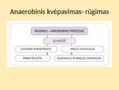 Aerobinis ir anaerobinis kvėpavimas (skaidrės) 5 puslapis