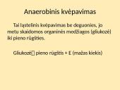 Aerobinis ir anaerobinis kvėpavimas (skaidrės) 6 puslapis