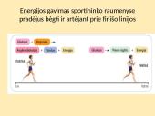 Aerobinis ir anaerobinis kvėpavimas (skaidrės) 7 puslapis