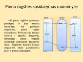 Aerobinis ir anaerobinis kvėpavimas (skaidrės) 9 puslapis