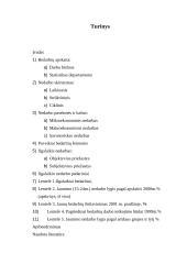 Darbo rinka ir jos problemos Lietuvoje 2 puslapis