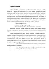 Darbo rinka ir jos problemos Lietuvoje 13 puslapis