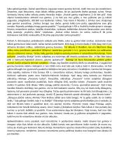 Ar šiandien romantizmo ir pozityvizmo idealai vis dar aktualūs? 2 puslapis