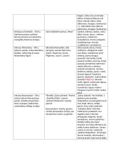 Autorių kūrinių temos, kontekstai 2 puslapis