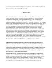 Autorių kūrinių temos, kontekstai 12 puslapis