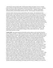 Autorių kūrinių temos, kontekstai 14 puslapis