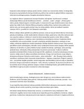 Autorių kūrinių temos, kontekstai 17 puslapis