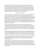 Autorių kūrinių temos, kontekstai 19 puslapis