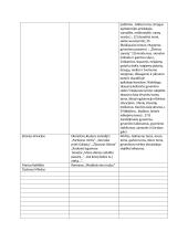 Autorių kūrinių temos, kontekstai 8 puslapis