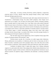 Pavojingų darbų organizavimas 2 puslapis