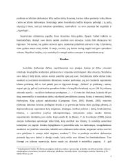 Superviziniai klausimai kylantys dirbant su vaikų dienos centrų lankytojais (vaikai nuo 6-18 metų) klientų grupe 6 puslapis