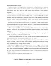 Kelios darbo saugos temos 13 puslapis