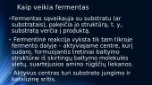 Fermentai organizme 2 puslapis