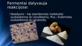 Fermentai organizme 6 puslapis