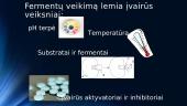 Fermentai organizme 8 puslapis