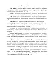 Darbo sauga ir darbuotojų sveikatos apsauga: statyba, apdaila ir rekonstrukcijų darbai IĮ "Lėjsta" 3 puslapis