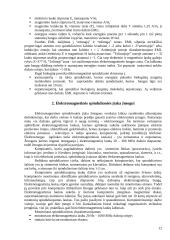 Darbo su kompiuteriu ergonomika 12 puslapis
