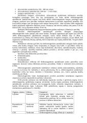 Darbo su kompiuteriu ergonomika 13 puslapis