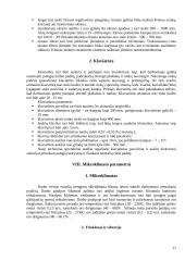 Darbo su kompiuteriu ergonomika 17 puslapis