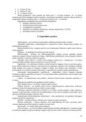 Darbo su kompiuteriu ergonomika 19 puslapis