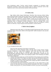 Darbo su kompiuteriu ergonomika 6 puslapis