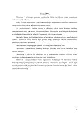Balasto vandens valymo techologijos 9 puslapis