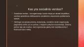 Socialinio verslo įmonės (skaidrės)