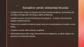 Socialinio verslo įmonės (skaidrės) 2 puslapis