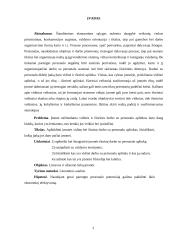 Darbo su personalu aplinka Lietuvos ir užsienio įmonėse 2 puslapis