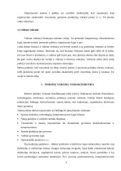 Darbo su personalu aplinka Lietuvos ir užsienio įmonėse 4 puslapis