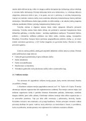 Darbo su personalu aplinka Lietuvos ir užsienio įmonėse 5 puslapis