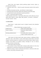 Darbo su personalu aplinka Lietuvos ir užsienio įmonėse 8 puslapis