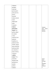 Fizinio ugdymo pamokos planas 5 klasei 2 puslapis