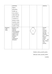 Fizinio ugdymo pamokos planas 5 klasei 3 puslapis