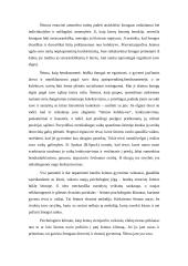 Darbo su vaikais, patyrusiais tėvų skyrybas ypatumai 10 puslapis