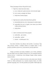 Darbo su vaikais, patyrusiais tėvų skyrybas ypatumai 11 puslapis