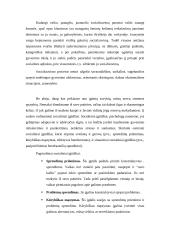 Darbo su vaikais, patyrusiais tėvų skyrybas ypatumai 14 puslapis