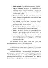 Darbo su vaikais, patyrusiais tėvų skyrybas ypatumai 15 puslapis