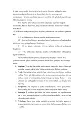 Darbo su vaikais, patyrusiais tėvų skyrybas ypatumai 18 puslapis