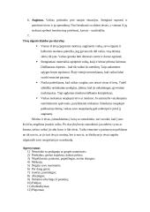 Darbo su vaikais, patyrusiais tėvų skyrybas ypatumai 19 puslapis