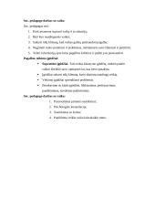 Darbo su vaikais, patyrusiais tėvų skyrybas ypatumai 20 puslapis